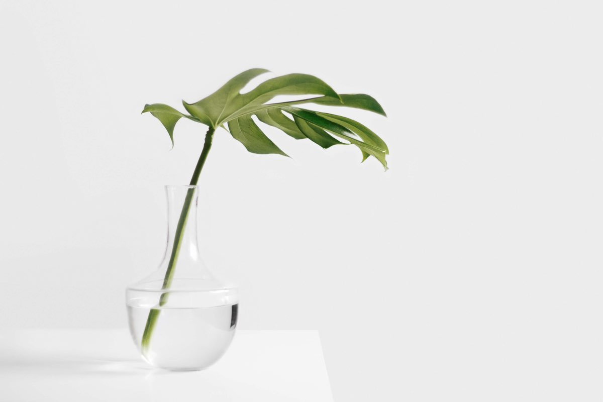 占位符图像,用于表示在主图部分展示的产品。1/2。